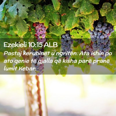 Picture 02 - Ezekieli 10:15 ALB - Pastaj kerubinët u ngritën. Ata ishin po ato - Bible Verse Picture