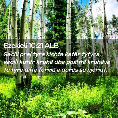 Picture 02 - Ezekieli 10:21 ALB - Secili prej tyre kishte katër fytyra, secili - Bible Verse Picture