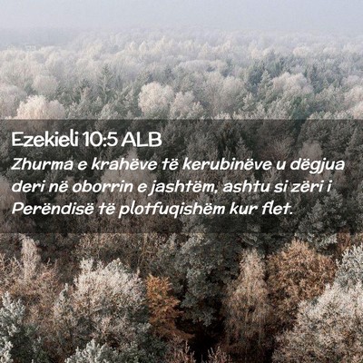 Picture 02 - Ezekieli 10:5 ALB - Zhurma e krahëve të kerubinëve u dëgjua deri - Bible Verse Picture