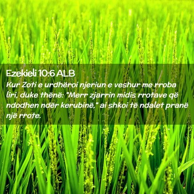 Picture 02 - Ezekieli 10:6 ALB - Kur Zoti e urdhëroi njeriun e veshur me rroba - Bible Verse Picture
