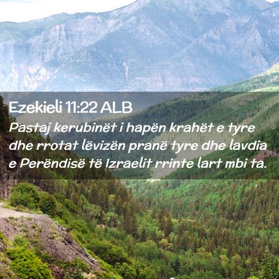 Picture 02 - Ezekieli 11:22 ALB - Pastaj kerubinët i hapën krahët e tyre dhe - Bible Verse Picture