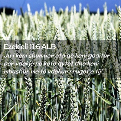 Picture 02 - Ezekieli 11:6 ALB - Ju i keni shumuar ata që keni goditur për - Bible Verse Picture