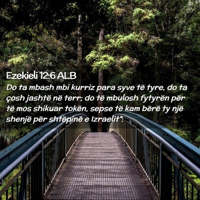 Picture 02 - Ezekieli 12:6 ALB - Do ta mbash mbi kurriz para syve të tyre, do ta - Bible Verse Picture