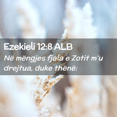 Picture 02 - Ezekieli 12:8 ALB - Në mëngjes fjala e Zotit m’u drejtua, duke - Bible Verse Picture