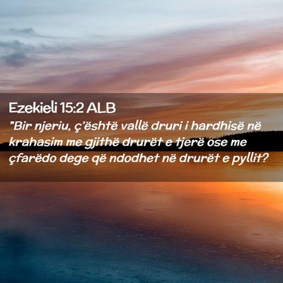 Picture 02 - Ezekieli 15:2 ALB - 