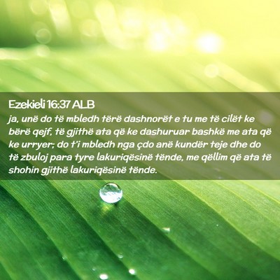 Picture 02 - Ezekieli 16:37 ALB - ja, unë do të mbledh tërë dashnorët e tu me - Bible Verse Picture