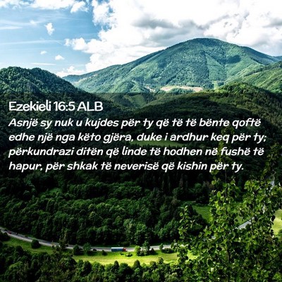 Picture 02 - Ezekieli 16:5 ALB - Asnjë sy nuk u kujdes për ty që të të bënte - Bible Verse Picture
