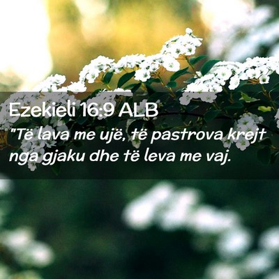 Picture 02 - Ezekieli 16:9 ALB - 