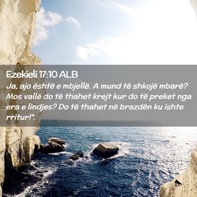 Picture 02 - Ezekieli 17:10 ALB - Ja, ajo është e mbjellë. A mund të shkojë - Bible Verse Picture