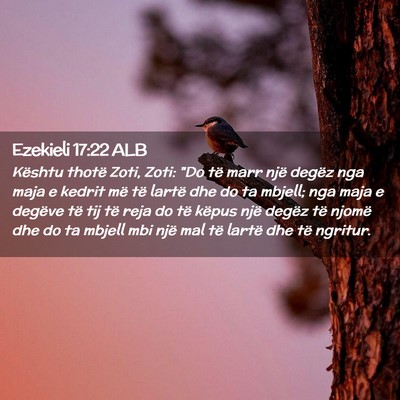 Picture 02 - Ezekieli 17:22 ALB - Kështu thotë Zoti, Zoti: 