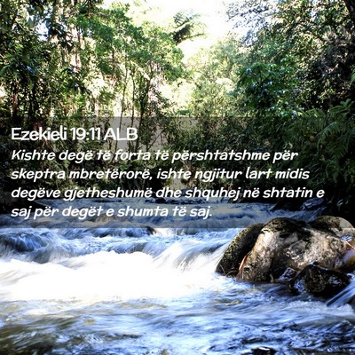 Picture 02 - Ezekieli 19:11 ALB - Kishte degë të forta të përshtatshme për - Bible Verse Picture