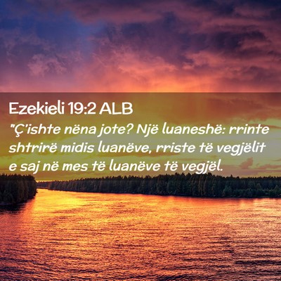 Picture 02 - Ezekieli 19:2 ALB - 
