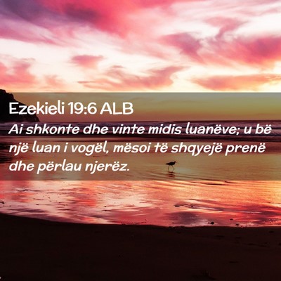 Picture 02 - Ezekieli 19:6 ALB - Ai shkonte dhe vinte midis luanëve; u bë një - Bible Verse Picture