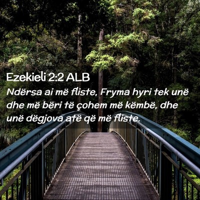 Picture 02 - Ezekieli 2:2 ALB - Ndërsa ai më fliste, Fryma hyri tek unë dhe - Bible Verse Picture