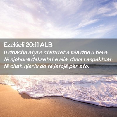 Picture 02 - Ezekieli 20:11 ALB - U dhashë atyre statutet e mia dhe u bëra të - Bible Verse Picture