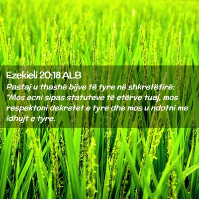 Picture 02 - Ezekieli 20:18 ALB - Pastaj u thashë bijve të tyre në - Bible Verse Picture