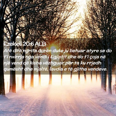 Picture 02 - Ezekieli 20:6 ALB - Atë ditë ngrita dorën duke ju betuar atyre se - Bible Verse Picture