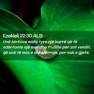 Picture 02 - Ezekieli 22:30 ALB - Unë kërkova midis tyre një burrë që të - Bible Verse Picture