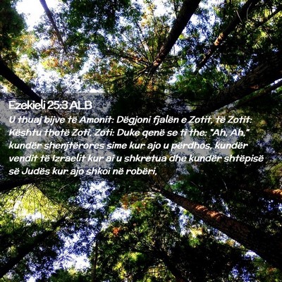 Picture 02 - Ezekieli 25:3 ALB - U thuaj bijve të Amonit: Dëgjoni fjalën e - Bible Verse Picture