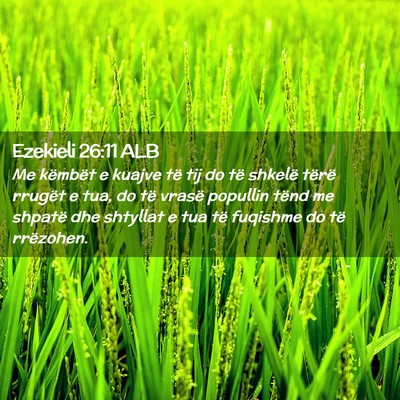 Picture 02 - Ezekieli 26:11 ALB - Me këmbët e kuajve të tij do të shkelë - Bible Verse Picture