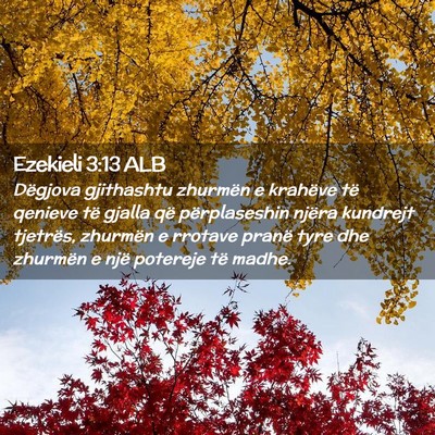 Picture 02 - Ezekieli 3:13 ALB - Dëgjova gjithashtu zhurmën e krahëve të - Bible Verse Picture