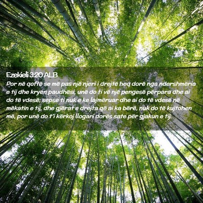 Picture 02 - Ezekieli 3:20 ALB - Por në qoftë se më pas një njeri i drejtë - Bible Verse Picture