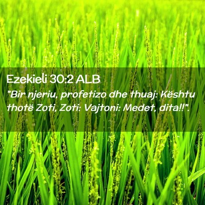 Picture 02 - Ezekieli 30:2 ALB - 