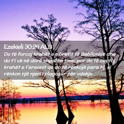Picture 02 - Ezekieli 30:24 ALB - Do të forcoj krahët e mbretit të Babilonisë - Bible Verse Picture