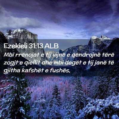 Picture 02 - Ezekieli 31:13 ALB - Mbi rrënojat e tij vijnë e qëndrojnë tërë - Bible Verse Picture