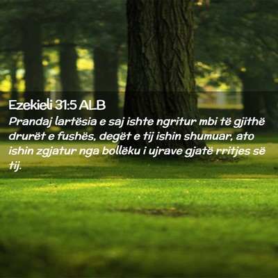 Picture 02 - Ezekieli 31:5 ALB - Prandaj lartësia e saj ishte ngritur mbi të - Bible Verse Picture