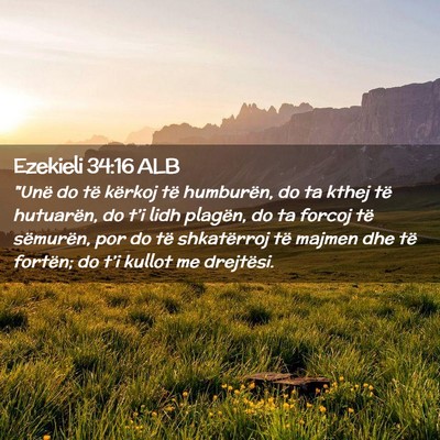 Picture 02 - Ezekieli 34:16 ALB - 