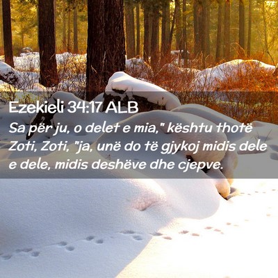 Picture 02 - Ezekieli 34:17 ALB - Sa për ju, o delet e mia,