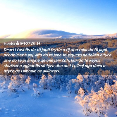 Picture 02 - Ezekieli 34:27 ALB - Druri i fushës do të japë frytin e tij dhe - Bible Verse Picture