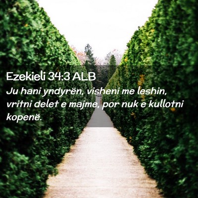 Picture 02 - Ezekieli 34:3 ALB - Ju hani yndyrën, visheni me leshin, vritni delet - Bible Verse Picture