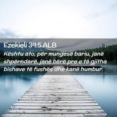 Picture 02 - Ezekieli 34:5 ALB - Kështu ato, për mungesë bariu, janë - Bible Verse Picture