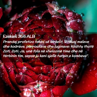 Picture 02 - Ezekieli 36:6 ALB - Prandaj profetizo tokës së Izraelit, u thuaj - Bible Verse Picture