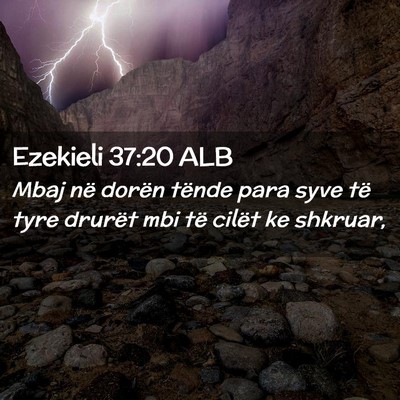 Picture 02 - Ezekieli 37:20 ALB - Mbaj në dorën tënde para syve të tyre drurët - Bible Verse Picture