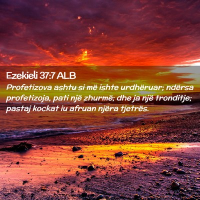 Picture 02 - Ezekieli 37:7 ALB - Profetizova ashtu si më ishte urdhëruar; - Bible Verse Picture