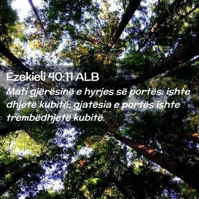 Picture 02 - Ezekieli 40:11 ALB - Mati gjërësinë e hyrjes së portës: ishte - Bible Verse Picture
