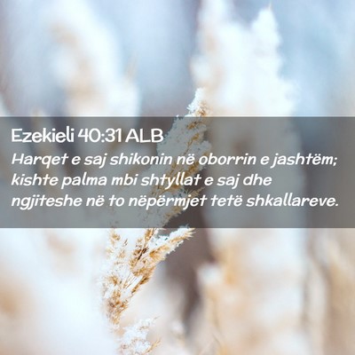 Picture 02 - Ezekieli 40:31 ALB - Harqet e saj shikonin në oborrin e jashtëm; - Bible Verse Picture