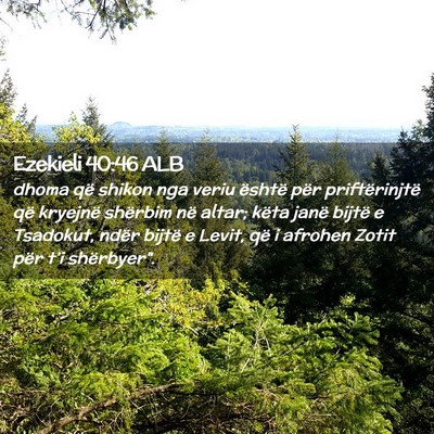 Picture 02 - Ezekieli 40:46 ALB - dhoma që shikon nga veriu është për - Bible Verse Picture