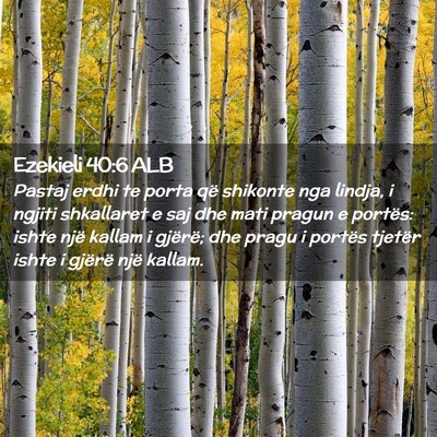 Picture 02 - Ezekieli 40:6 ALB - Pastaj erdhi te porta që shikonte nga lindja, i - Bible Verse Picture