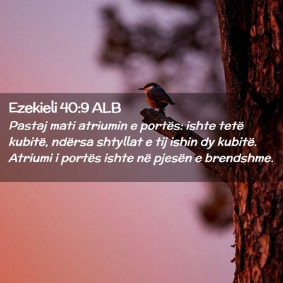 Picture 02 - Ezekieli 40:9 ALB - Pastaj mati atriumin e portës: ishte tetë - Bible Verse Picture