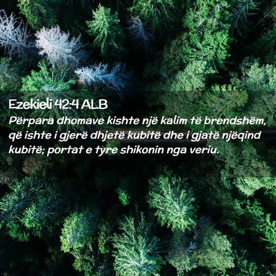 Picture 02 - Ezekieli 42:4 ALB - Përpara dhomave kishte një kalim të - Bible Verse Picture
