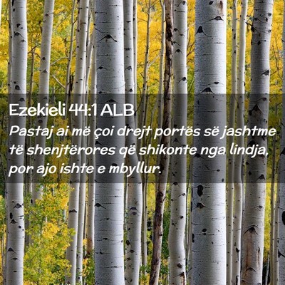 Picture 02 - Ezekieli 44:1 ALB - Pastaj ai më çoi drejt portës së jashtme të - Bible Verse Picture
