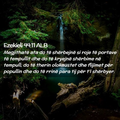 Picture 02 - Ezekieli 44:11 ALB - Megjithatë ata do të shërbejnë si roje të - Bible Verse Picture