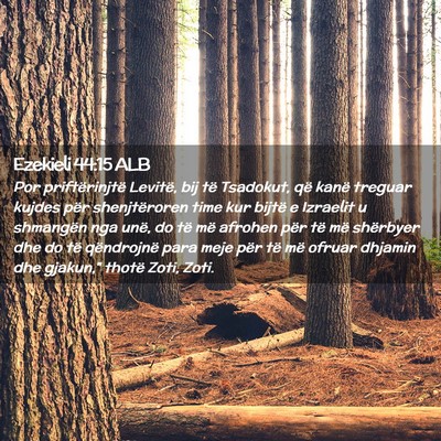 Picture 02 - Ezekieli 44:15 ALB - Por priftërinjtë Levitë, bij të Tsadokut, që - Bible Verse Picture