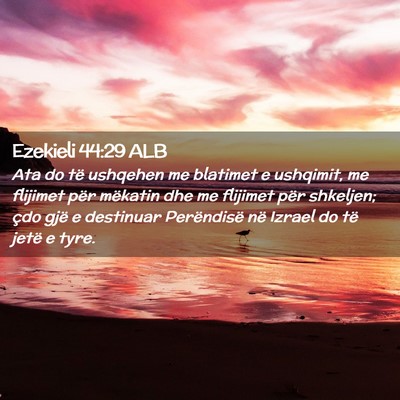 Picture 02 - Ezekieli 44:29 ALB - Ata do të ushqehen me blatimet e ushqimit, me - Bible Verse Picture