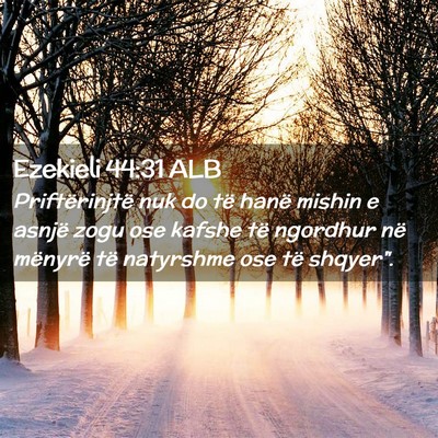 Picture 02 - Ezekieli 44:31 ALB - Priftërinjtë nuk do të hanë mishin e asnjë - Bible Verse Picture