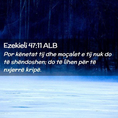 Picture 02 - Ezekieli 47:11 ALB - Por kënetat tij dhe moçalet e tij nuk do të - Bible Verse Picture